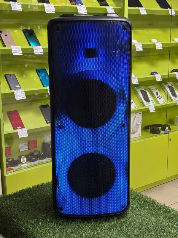 Колонка Eltronic 20-02