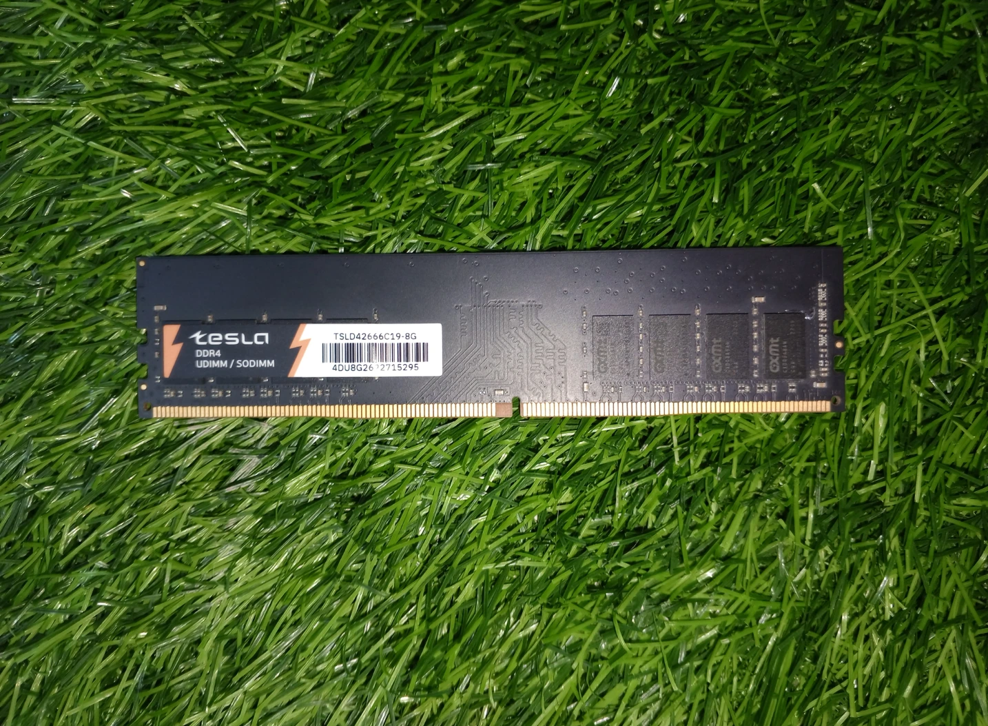 Оперативная память 8G TESLA [TSLD4-2666-C19-8G]