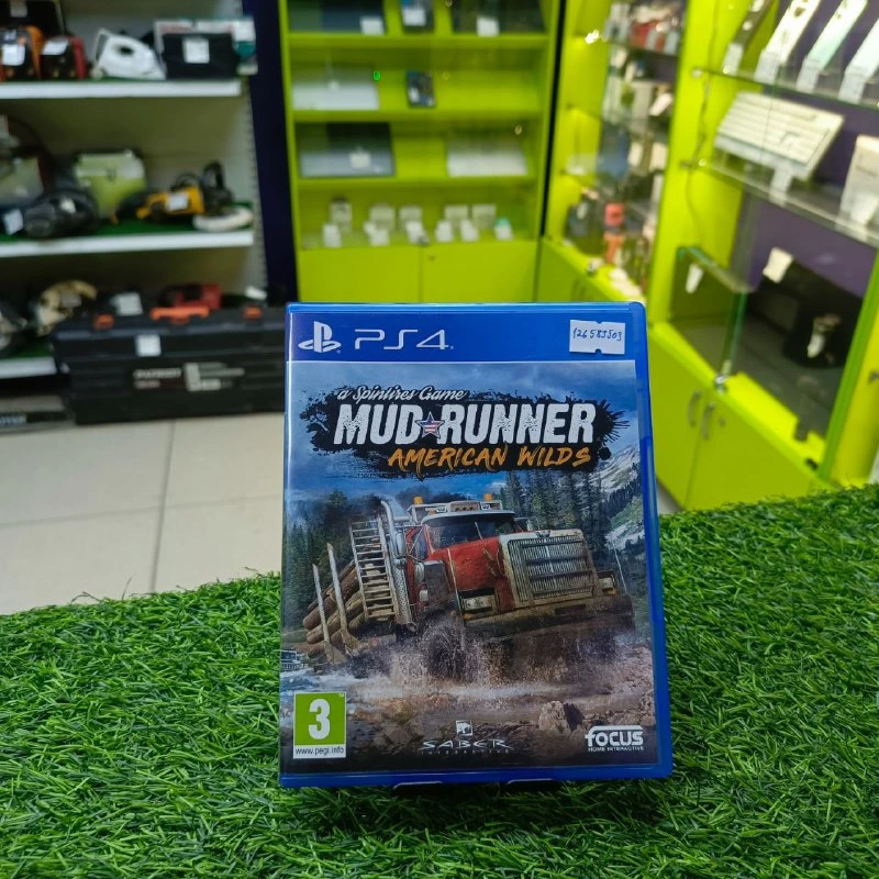 Игра для PS 4 Mud Runner AW