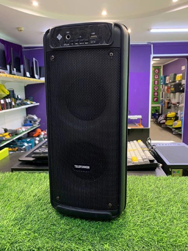Портативная колонка TELEFUNKEN TF-PS2212