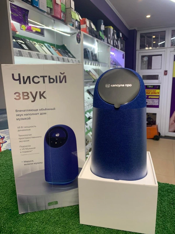 Колонка VK Капсула Про